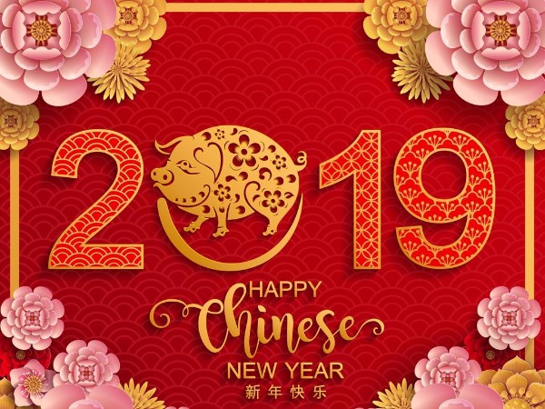 金豬送喜辭舊歲，雙志陪您慶新春！